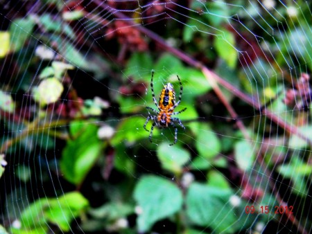 Natureza...